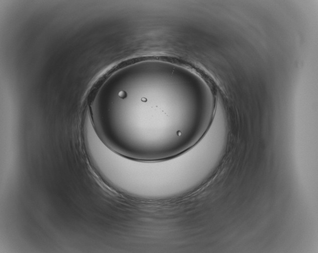 X0000112951452200908311459