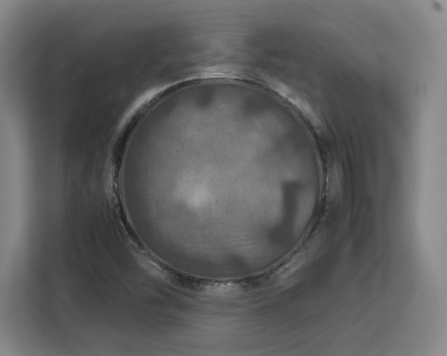 X0000112951454200908311459