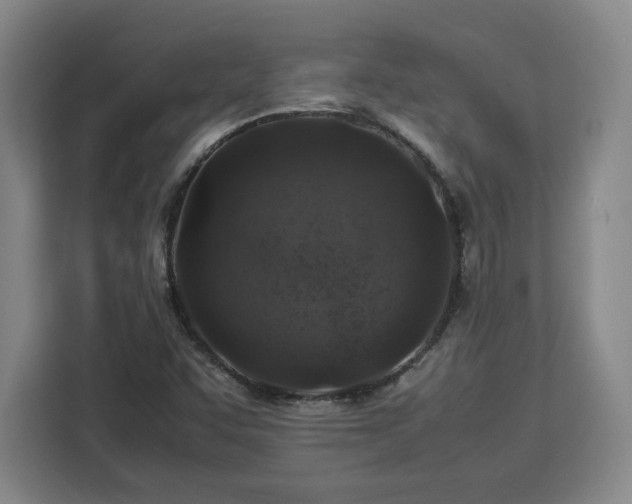 X0000112951455200908311459