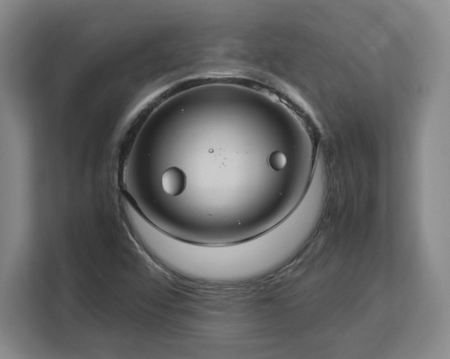 X0000112951456200908311459