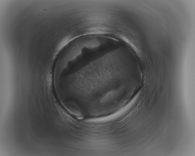 X0000112951459200908311459