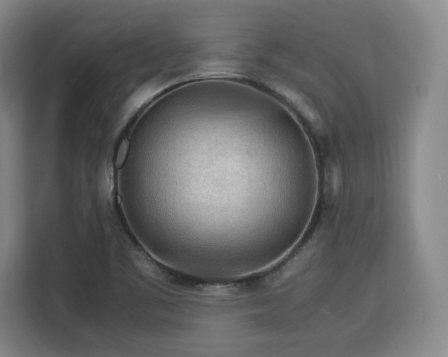 X0000112951461200908311459