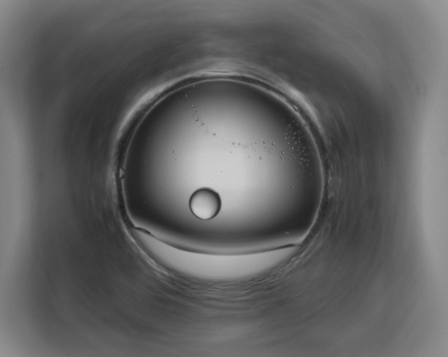 X0000112951464200908311459