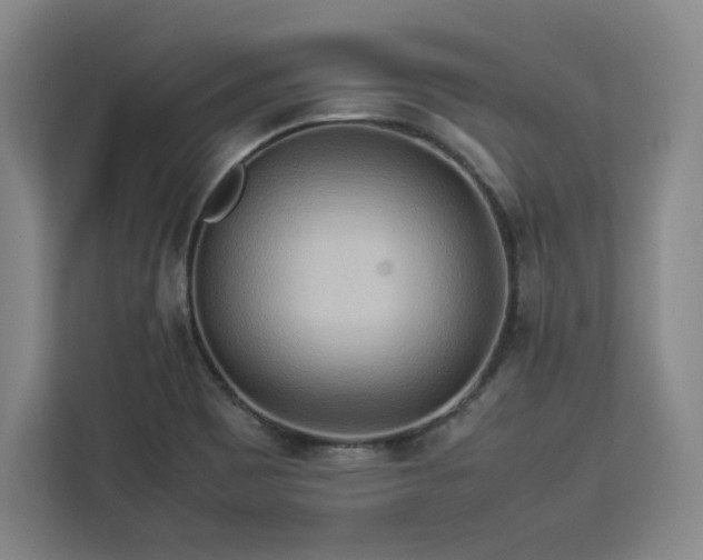 X0000112951465200908311459