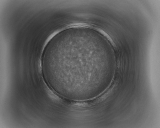 X0000112951466200908311459