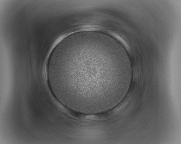 X0000112951467200908311459