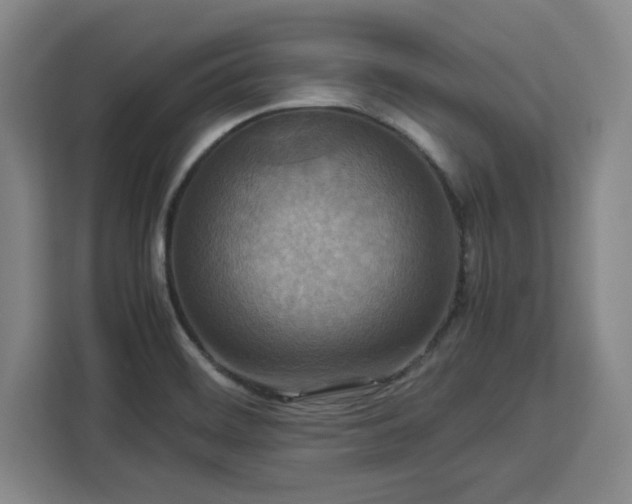 X0000112951468200908311459