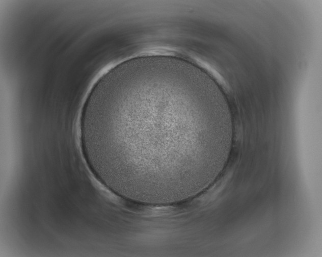 X0000112951471200908311459