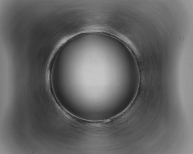 X0000112951472200908311459