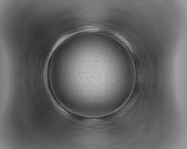 X0000112951475200908311459