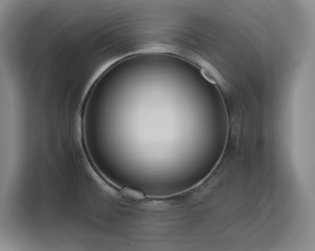 X0000112951476200908311459