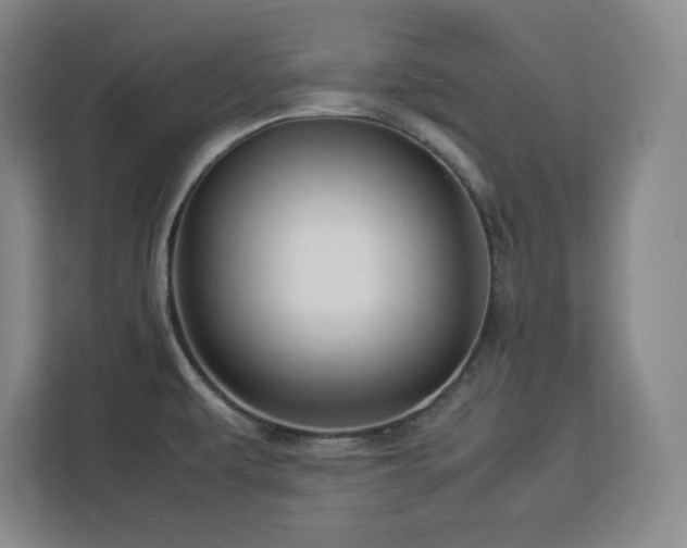 X0000112951479200908311459