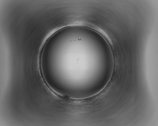 X0000112951480200908311459