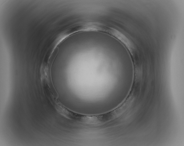 X0000112951481200908311459