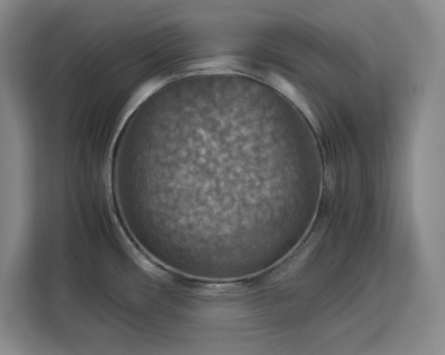 X0000112951482200908311459