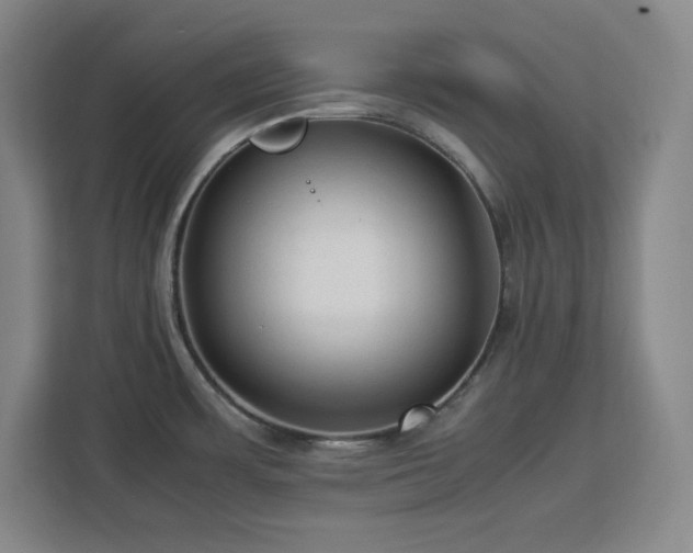 X0000112951483200908311459