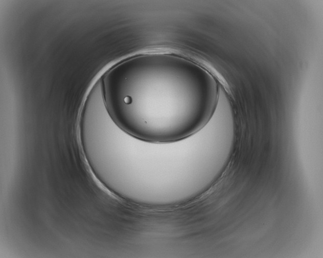 X0000112951484200908311459