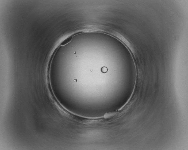 X0000112951485200908311459