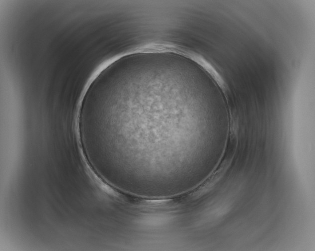 X0000112951486200908311459