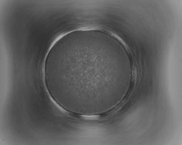 X0000112951487200908311459