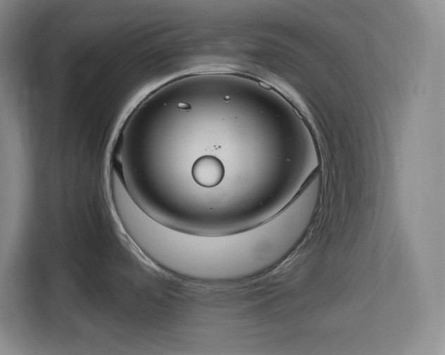 X0000112951488200908311459