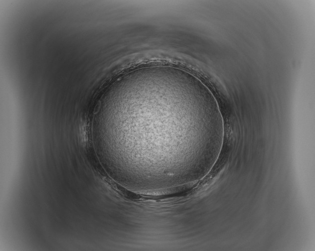 X0000112951490200908311458