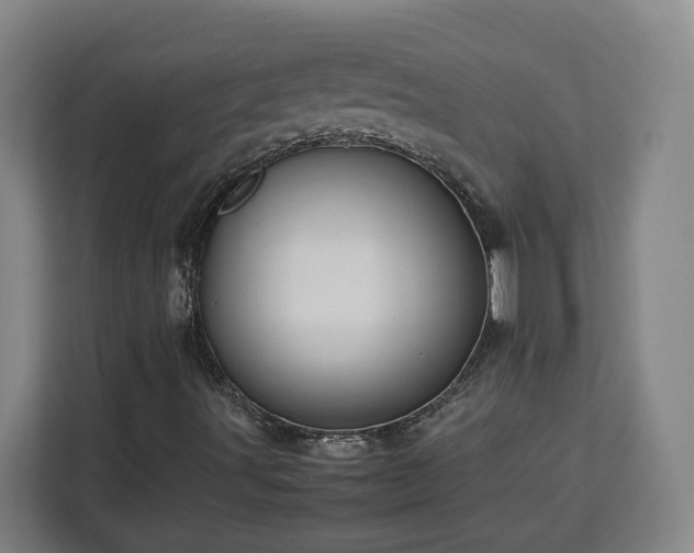 X0000112951491200908311458