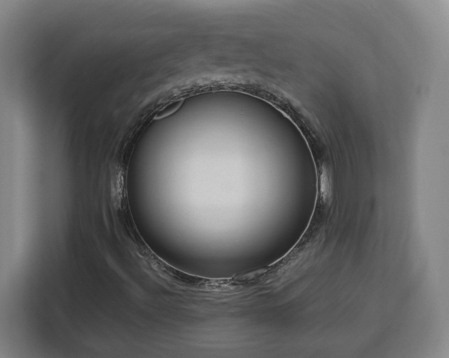 X0000112951492200908311458