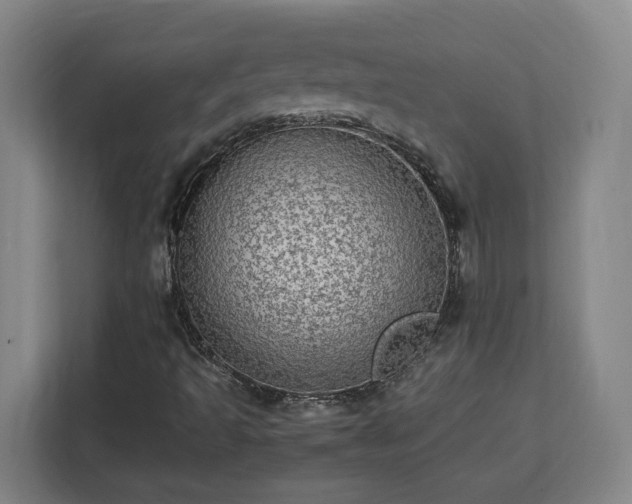 X0000112951493200908311458