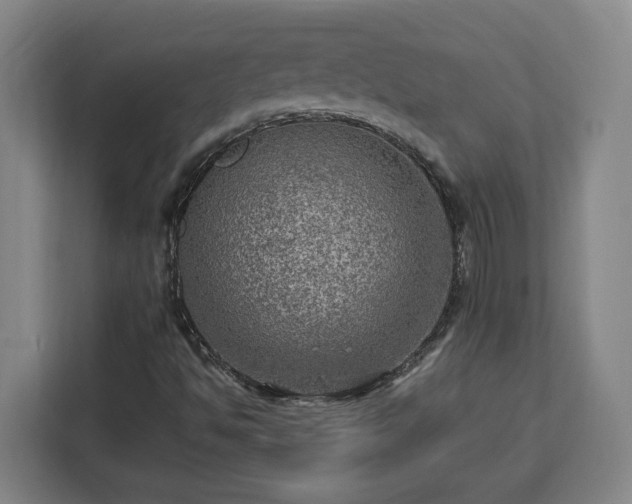 X0000112951494200908311458