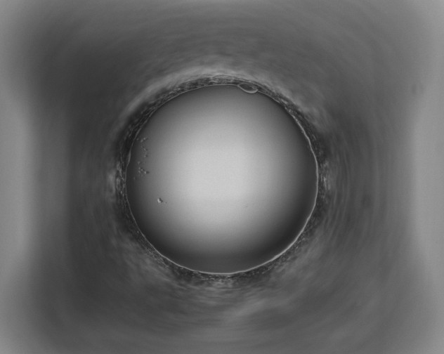 X0000112951495200908311458