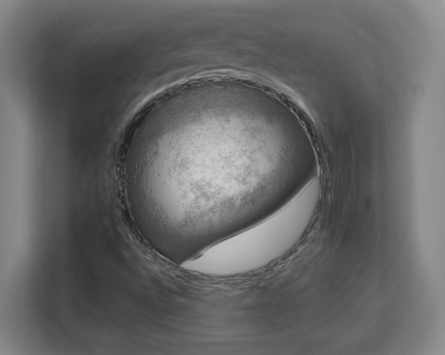 X0000112951496200908311458