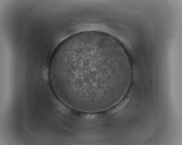 X0000112951497200908311458