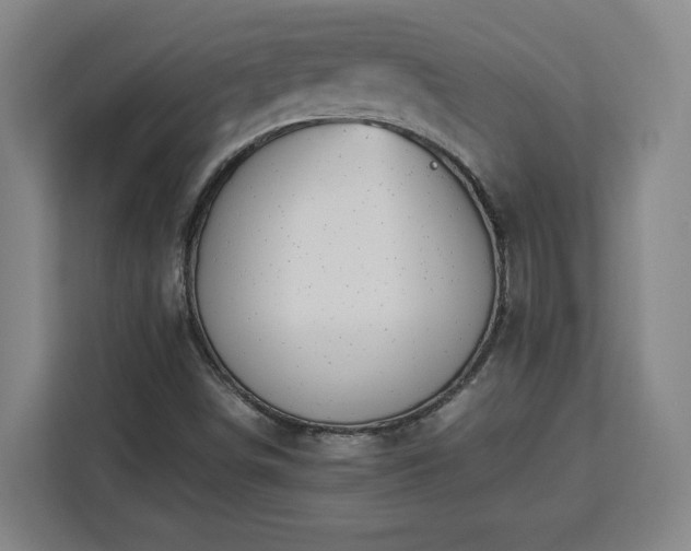 X0000112951498200908311458