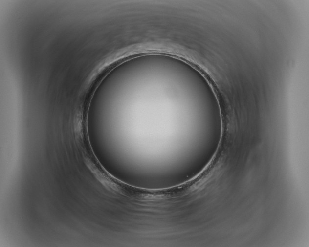 X0000112951499200908311458