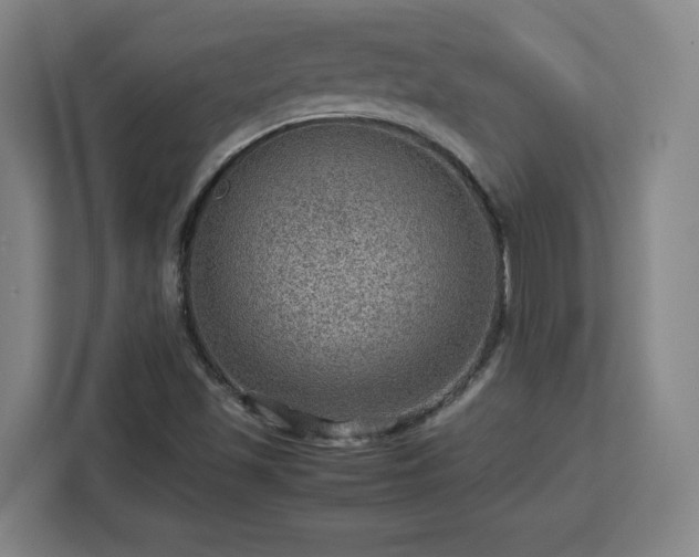 X0000112951501200908311458