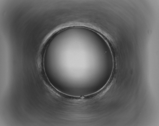 X0000112951502200908311459