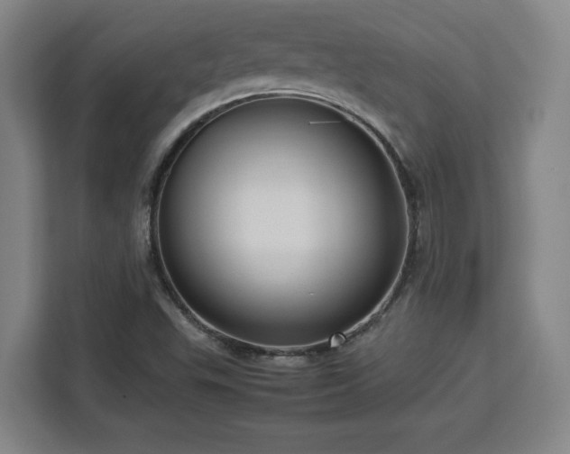 X0000112951503200908311459