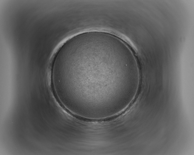 X0000112951504200908311459