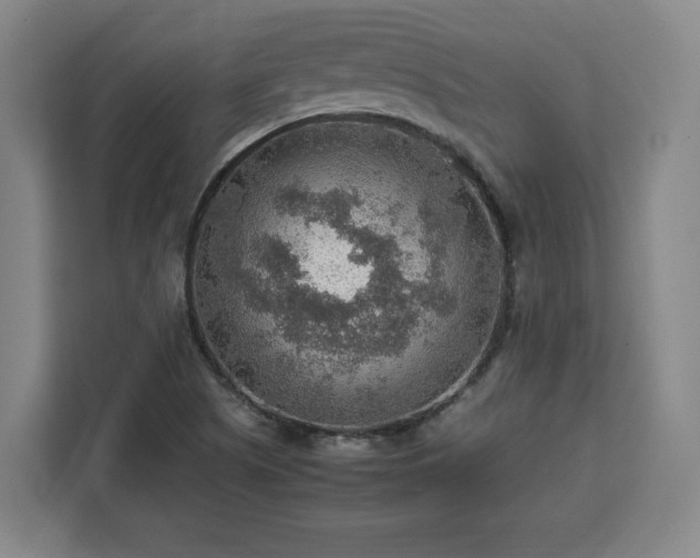 X0000112951505200908311459