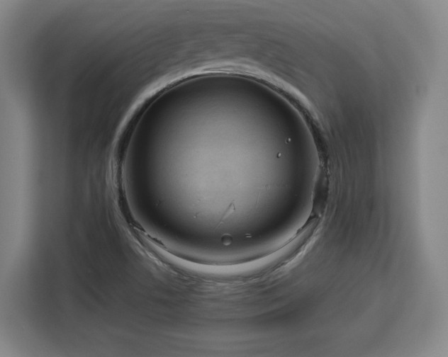 X0000112951506200908311459