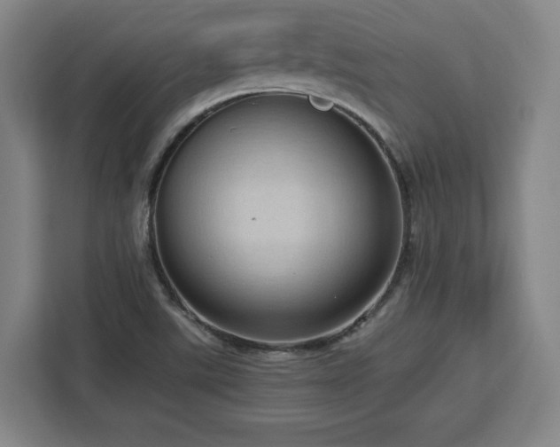 X0000112951507200908311459