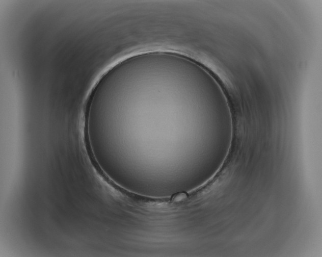 X0000112951508200908311459