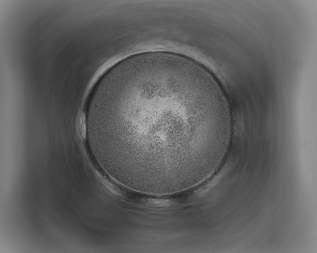 X0000112951509200908311459