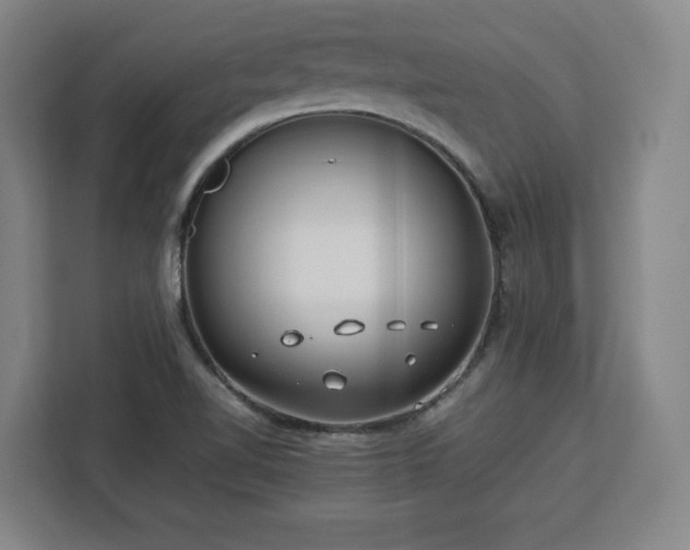 X0000112951510200908311459