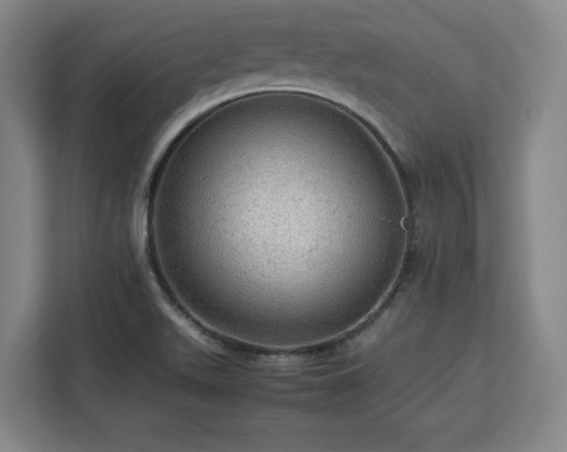 X0000112951511200908311459