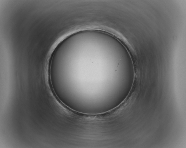 X0000112951512200908311459