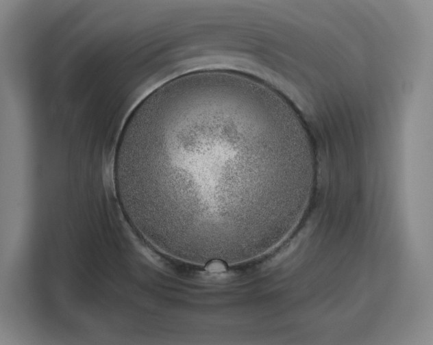 X0000112951513200908311459