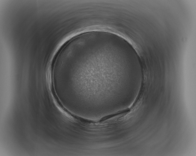 X0000112951515200908311459