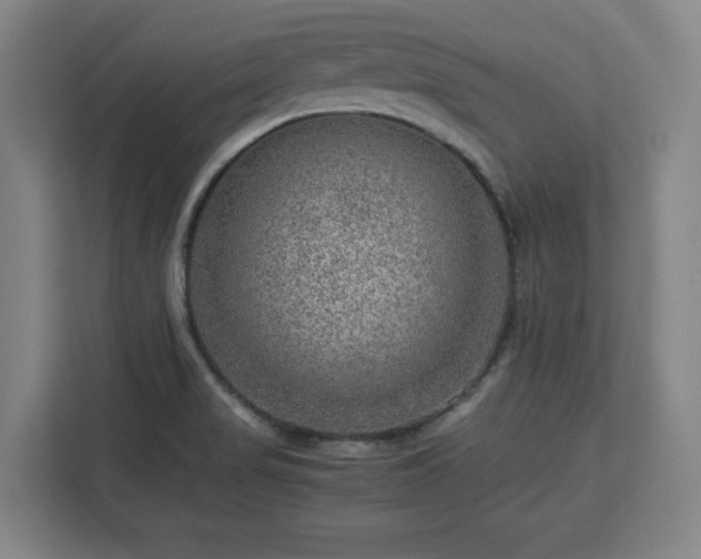 X0000112951517200908311459